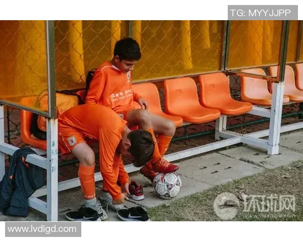 鸿雁足球最后一届球星的传奇故事与赛场回忆